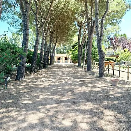 Turfrose Di San Rossore A Pisa By Zoom In Earth Exterior photo